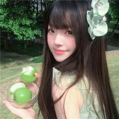 芦苇地